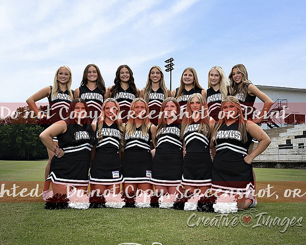 Cheer Portraits